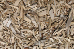biomass boilers Balkeerie